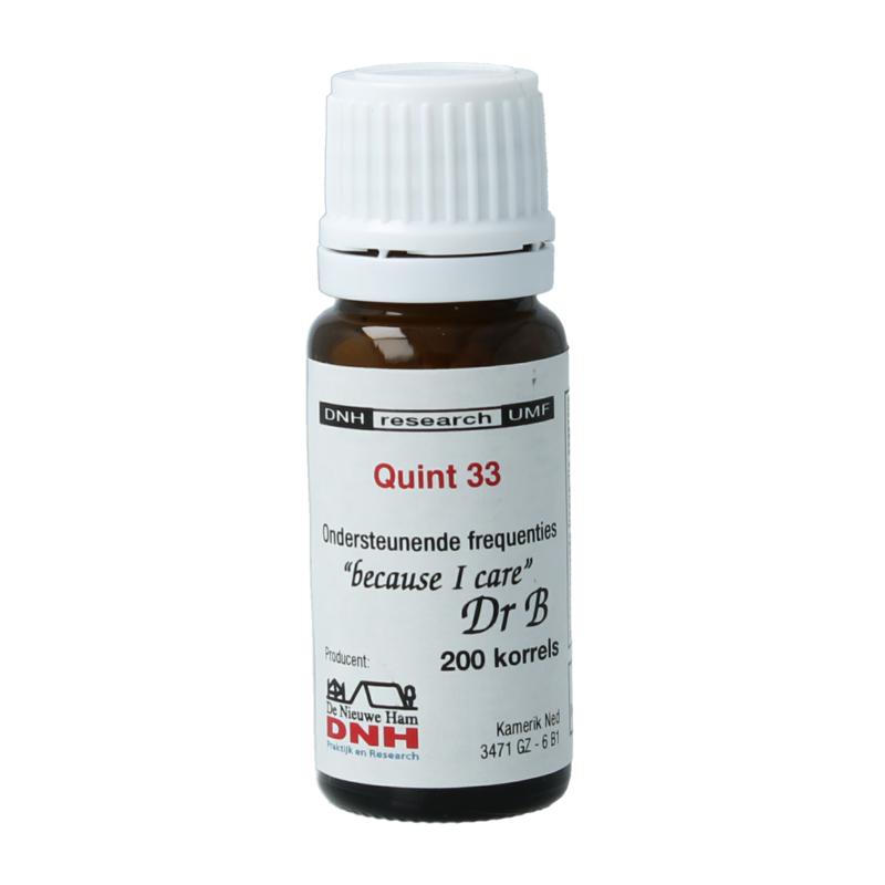 Dnh Quint 33