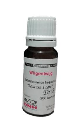 Dnh Wilgentwijg