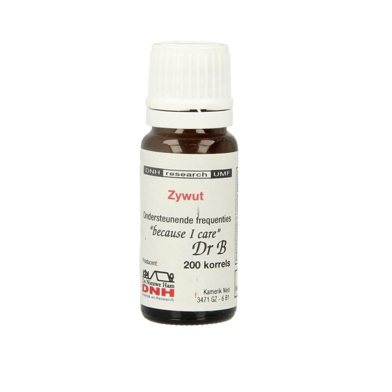 Dnh Zywut