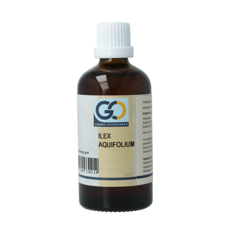 Go Ilex Aquifolium