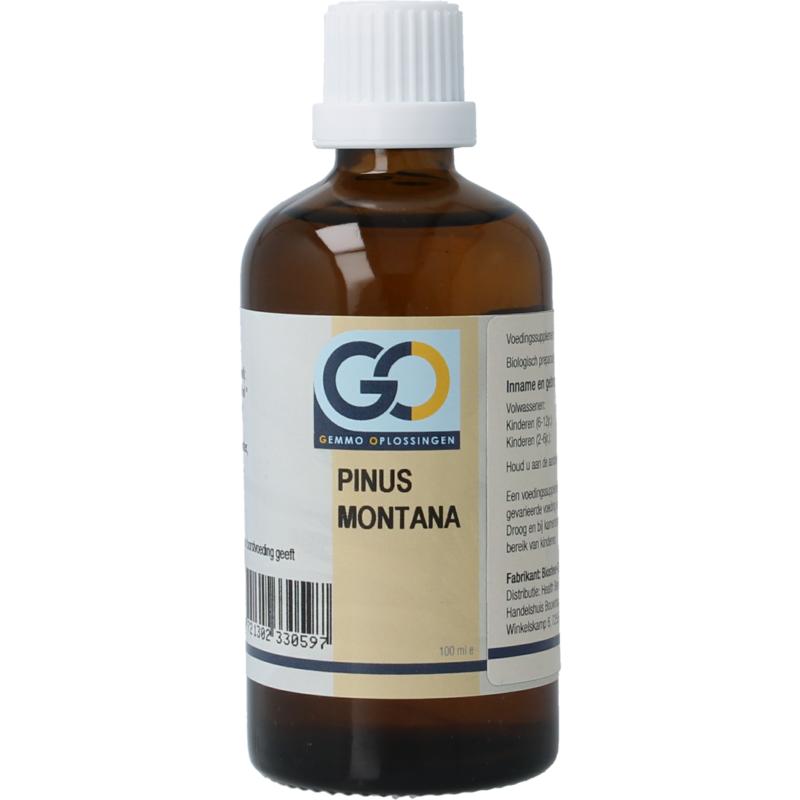 Go Pinus Montana Bio