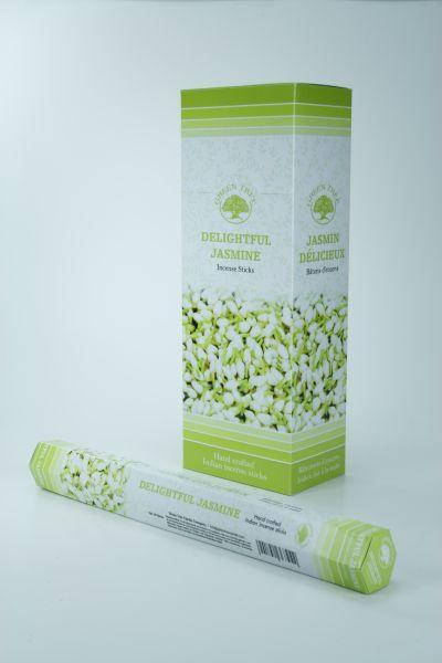 Green Tree Wierook Delightful Jasmine