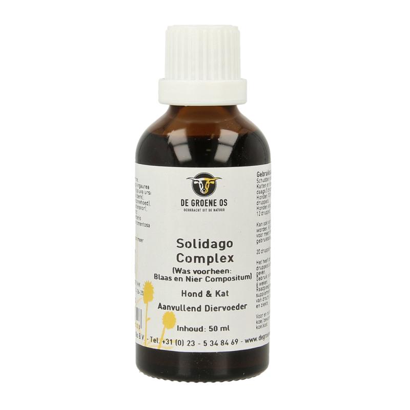Groene Os Solidago Complex Hondkat