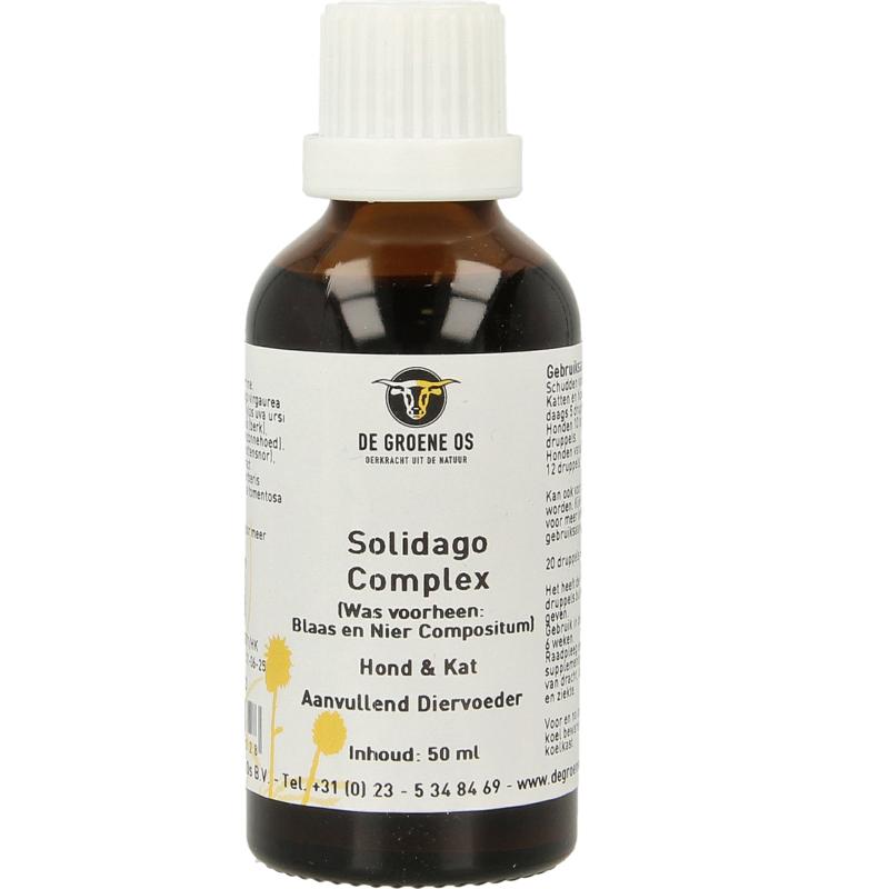 Groene Os Solidago Complex Hondkat