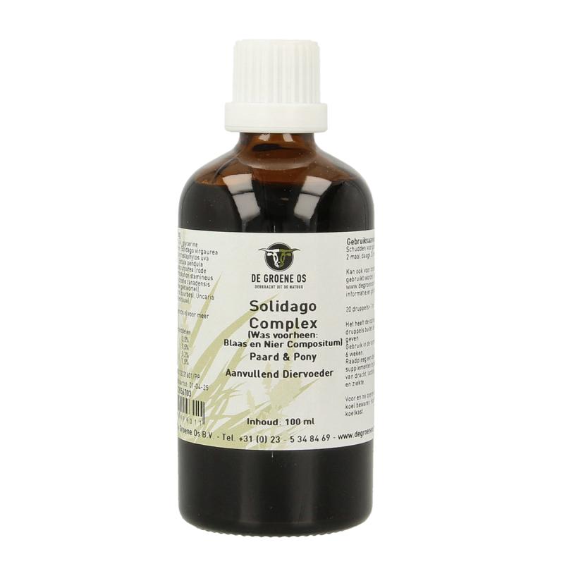 Groene Os Solidago Complex Paardpony