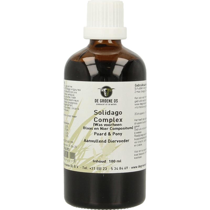 Groene Os Solidago Complex Paardpony