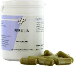 Holisan Febulin