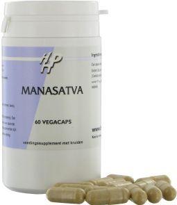 Manasatva Holisan