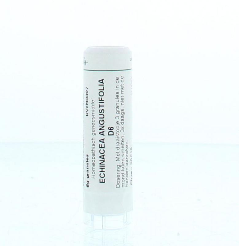 Homeoden Heel Echinacea Angustifolia D6