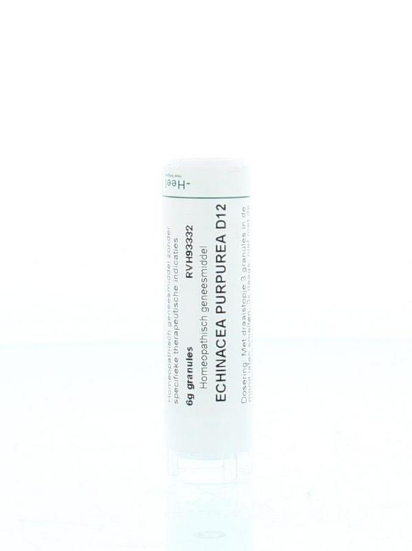 Homeoden Heel Echinacea Purpurea D12