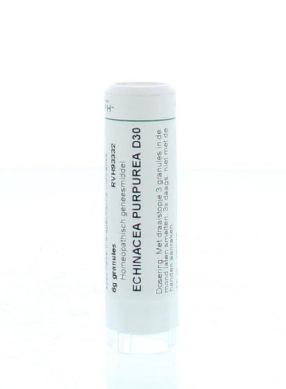 Homeoden Heel Echinacea Purpurea D30