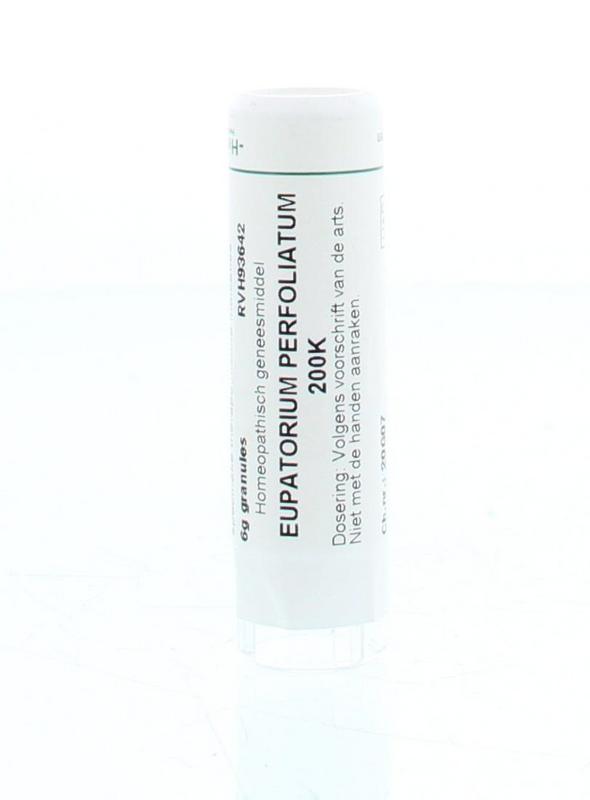 Homeoden Heel Eupatorium Perfoliatum 200K