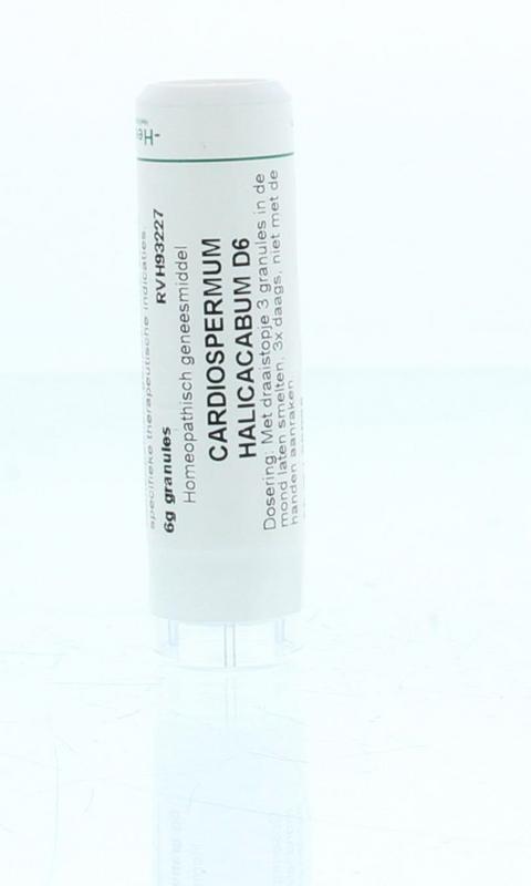 Homeoden Heel Cardiospermum Halicacabum D6