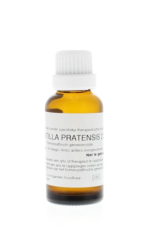 Homeoden Heel Pulsatilla Pratensis D30