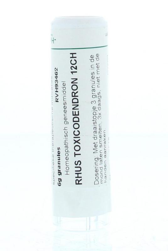 Homeoden Heel Rhus Toxicodendron 12Ch