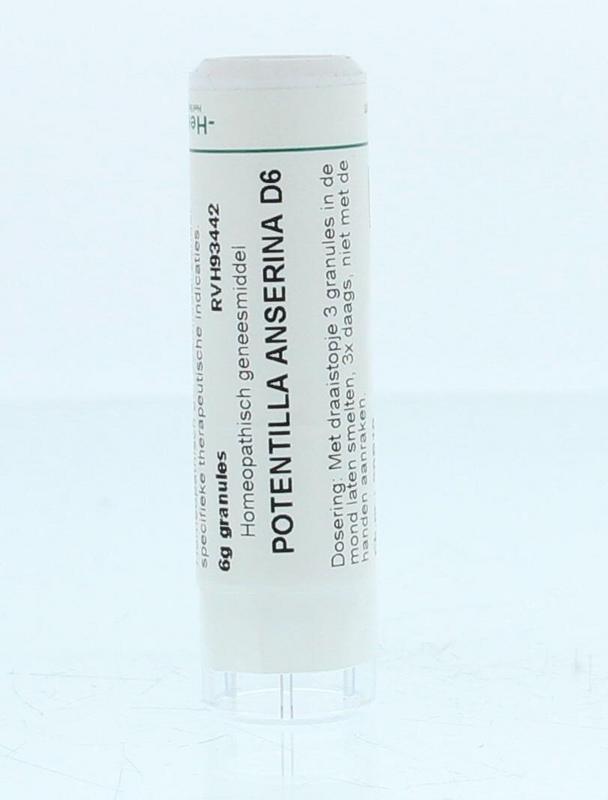 Homeoden Heel Potentilla Anserina D6