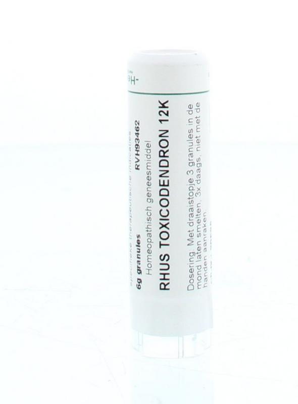 Homeoden Heel Rhus Toxicodendron 12K