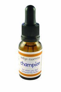 Indigo Essences Champion