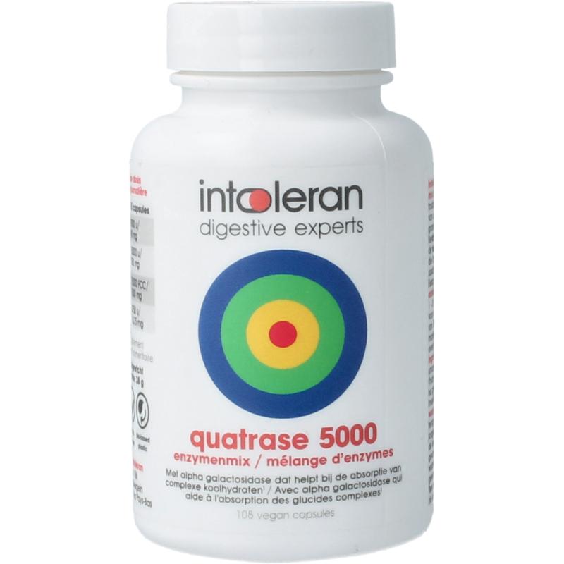 Intoleran Quatrase 5.000