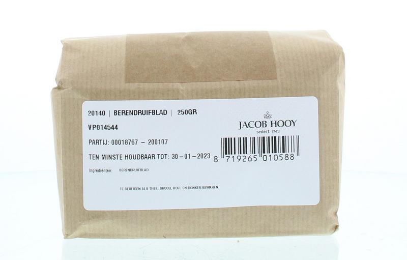 Jacob Hooy Berendruifblad