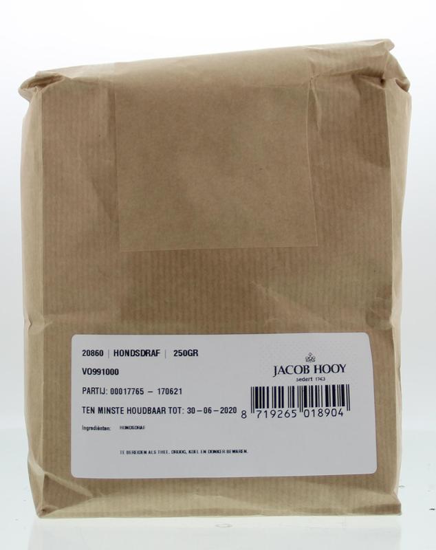 Jacob Hooy Hondsdraf