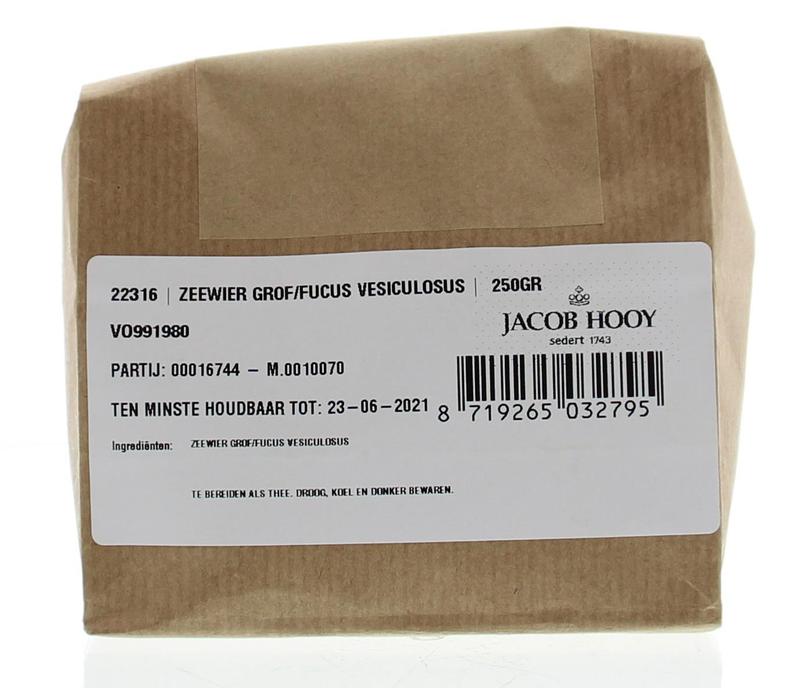 Jacob Hooy Zeewier Grof Stukken