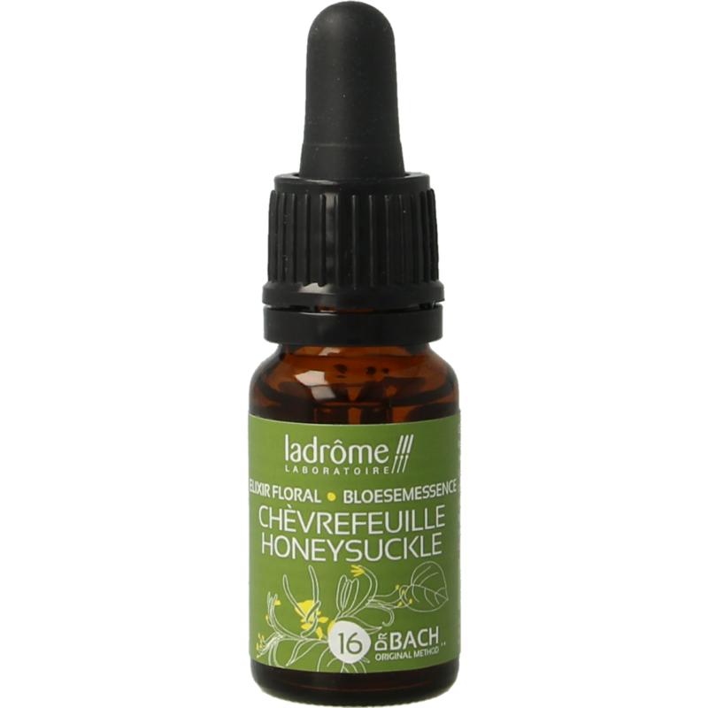 Ladrome Honeysucklekamperfoelie Bio