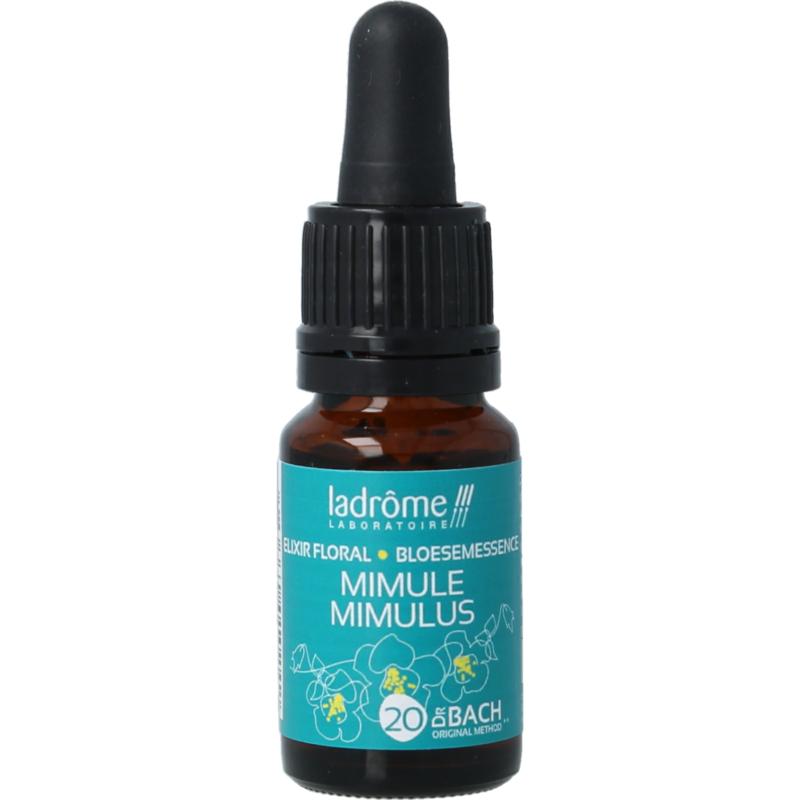 Ladrome Mimulus Bio