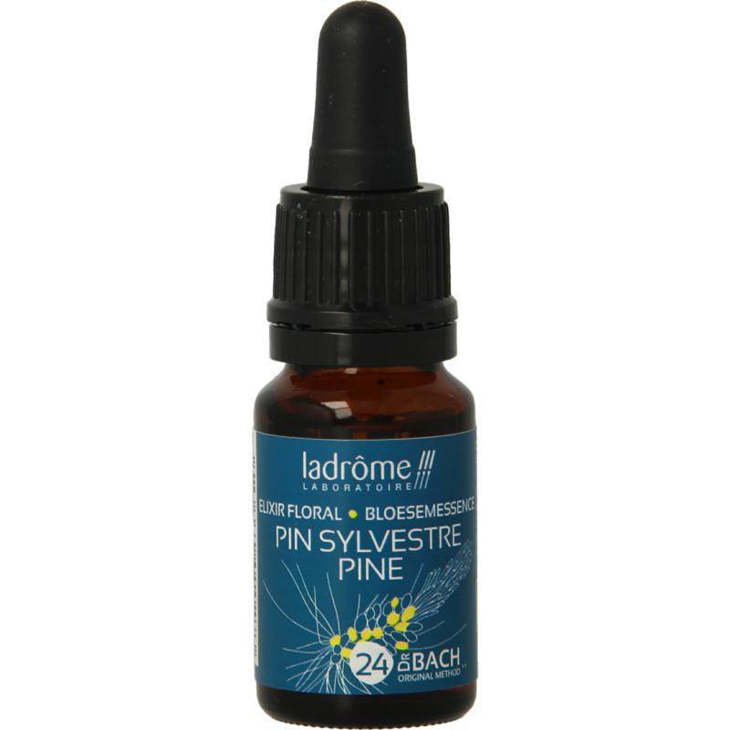 Ladrome Pine  Den 24 Bio