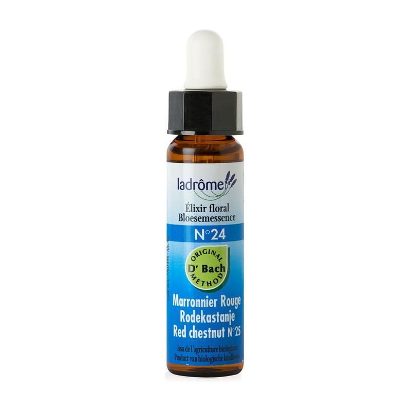 Ladrome Red Chestnutrode Kastanje 24 Bio