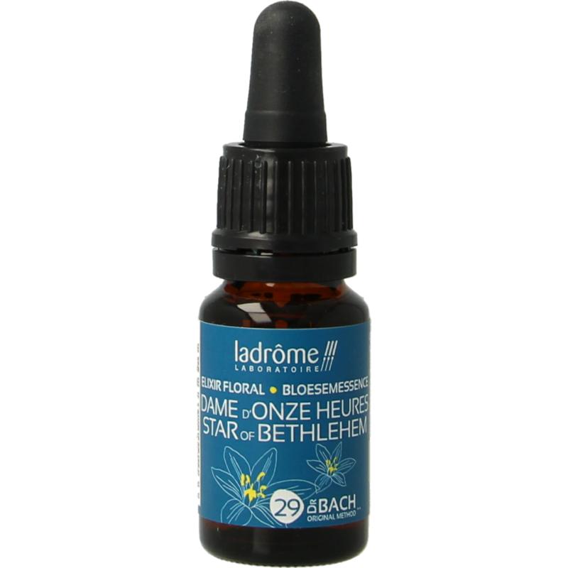 Ladrome Star Of Bethlehem Bio