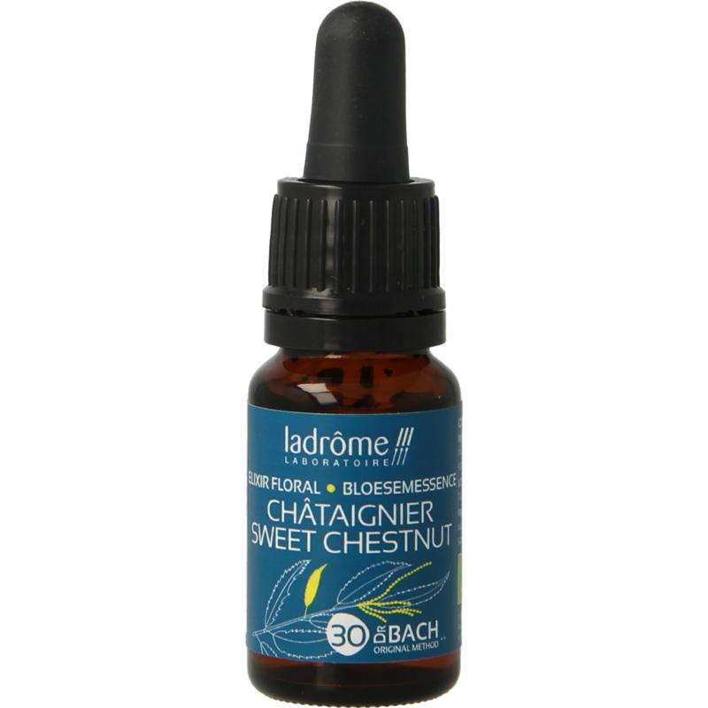Ladrome Sweet Chestnut  Tamme Kastanje Bio