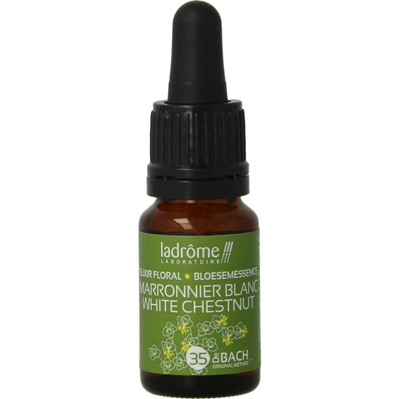 Ladrome White Chestnut  Paardekastanje Bio