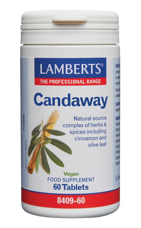 Lamberts Candaway