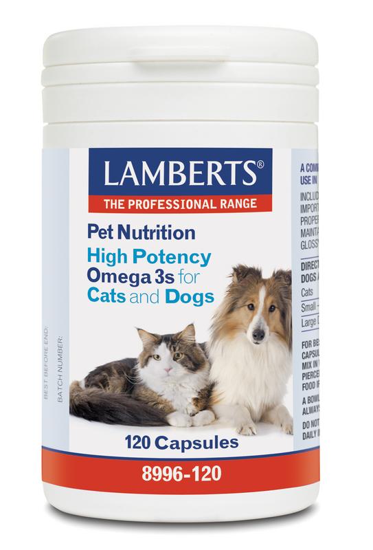 Lamberts Omega 3 Voor Dieren Hond En Kat