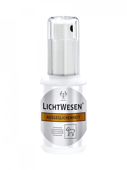 Lichtwesen Balans Hond