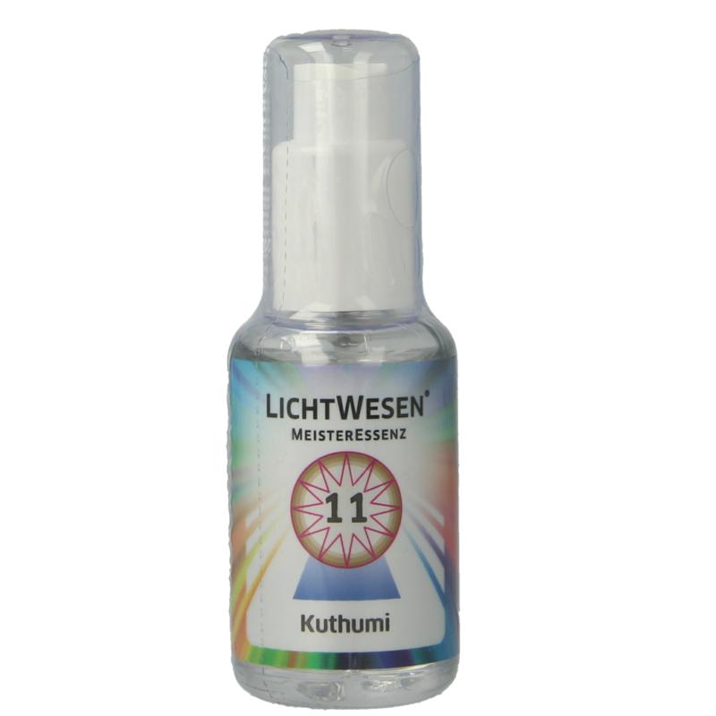 Lichtwesen Kuthumi Tinctuur 11