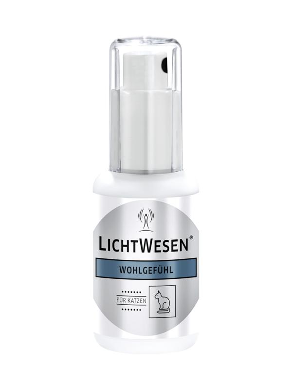 Lichtwesen Welzijn Kat