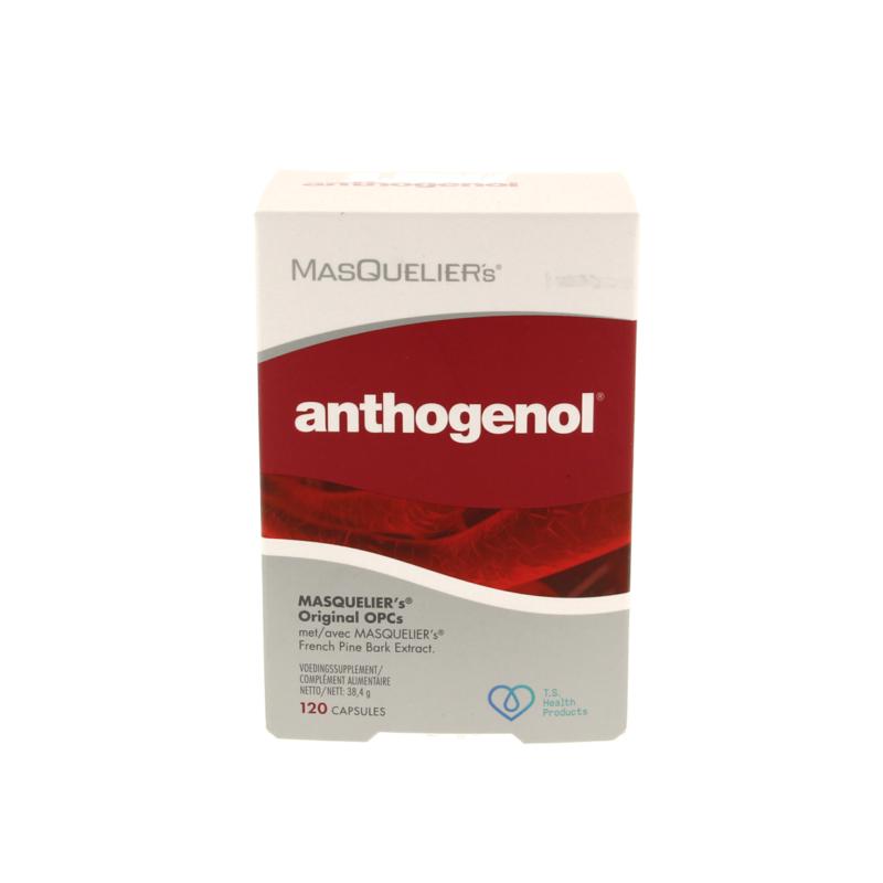 Masqueliers Anthogenol