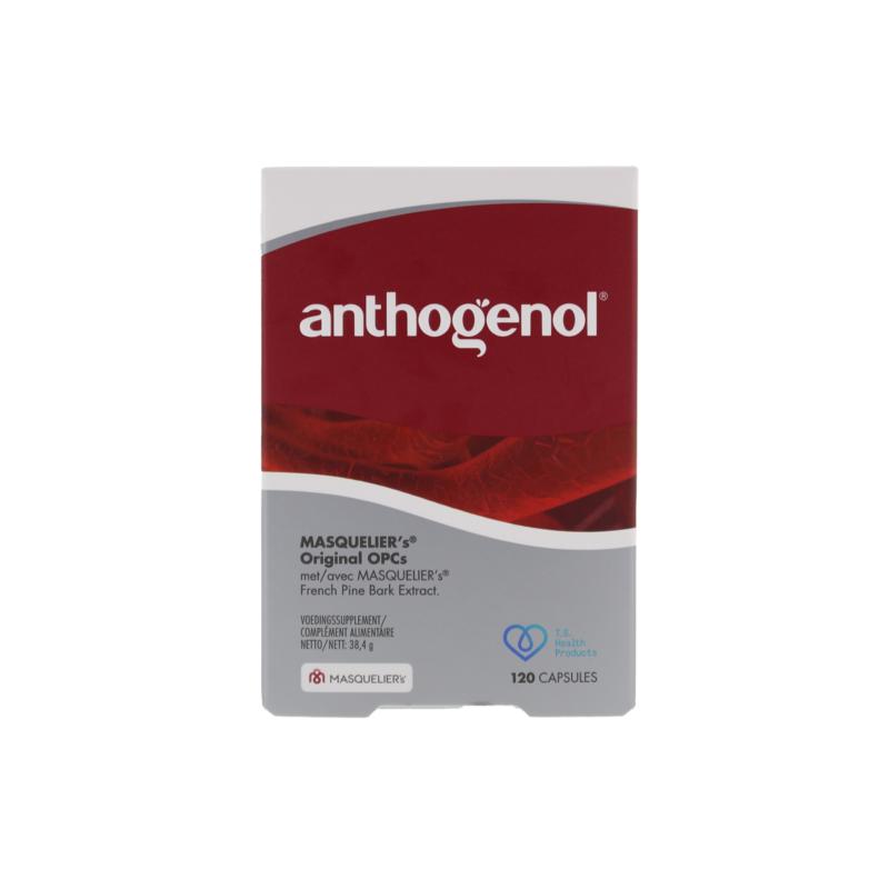 Masqueliers Anthogenol