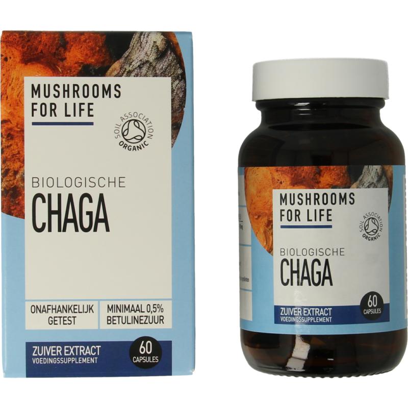 Mushrooms F Life Chaga Bio