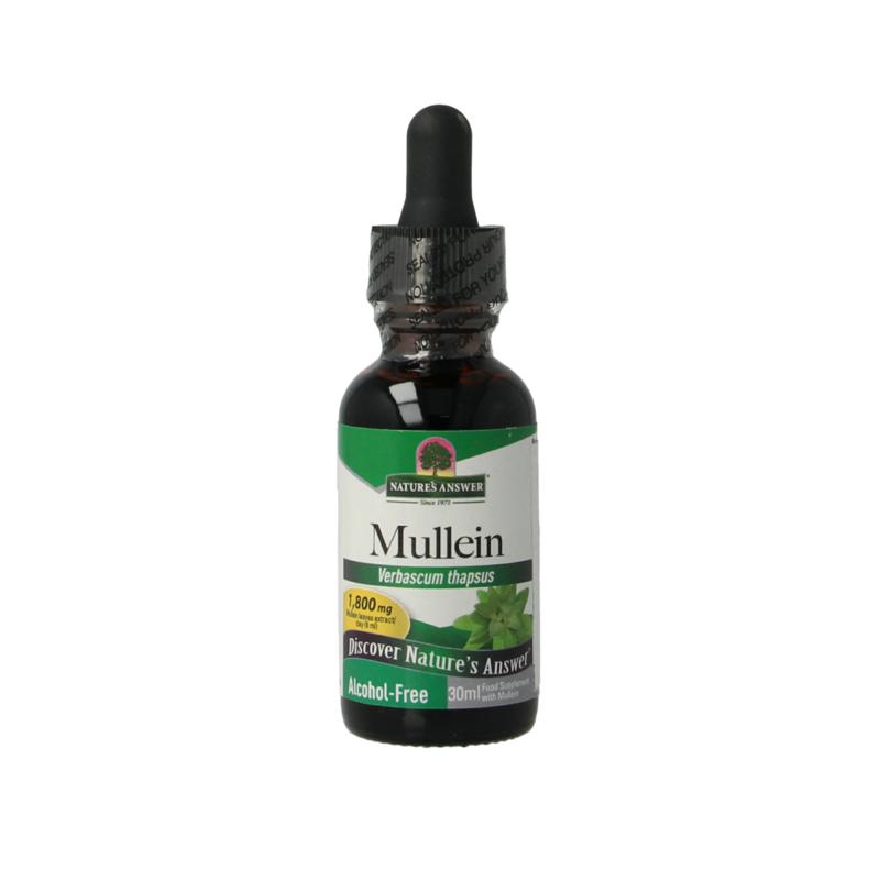 Natures Answer Mullein Verbascum Thapsus Extract Alcoholvrij
