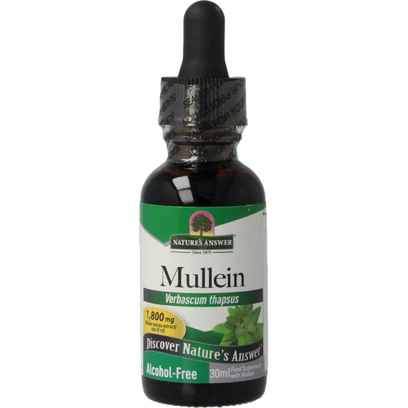Natures Answer Mullein Verbascum Thapsus Extract Alcoholvrij