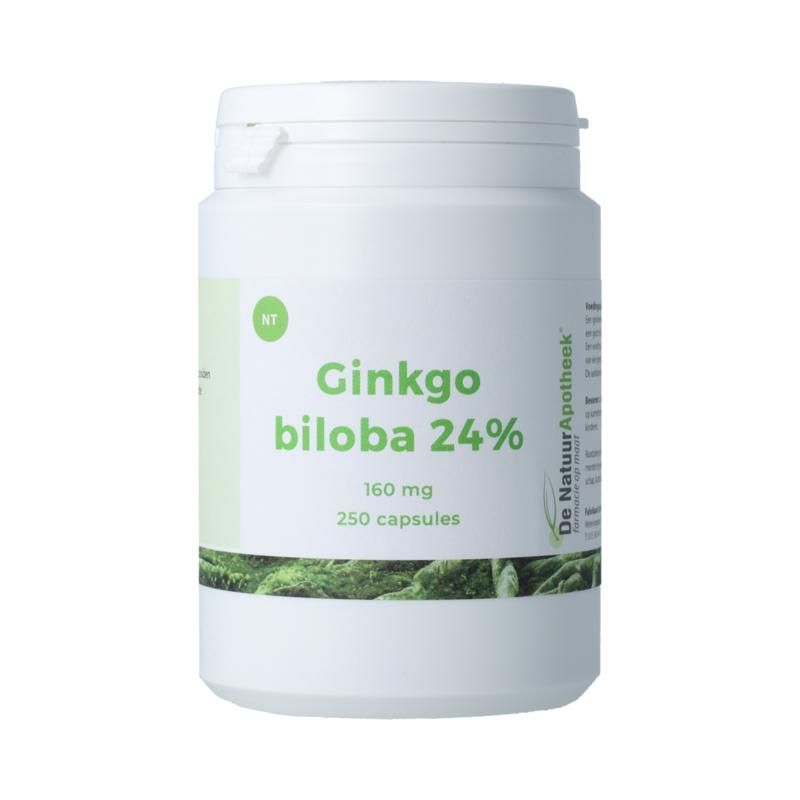 Natuurapotheek Ginkgo Biloba 24% 160Mg