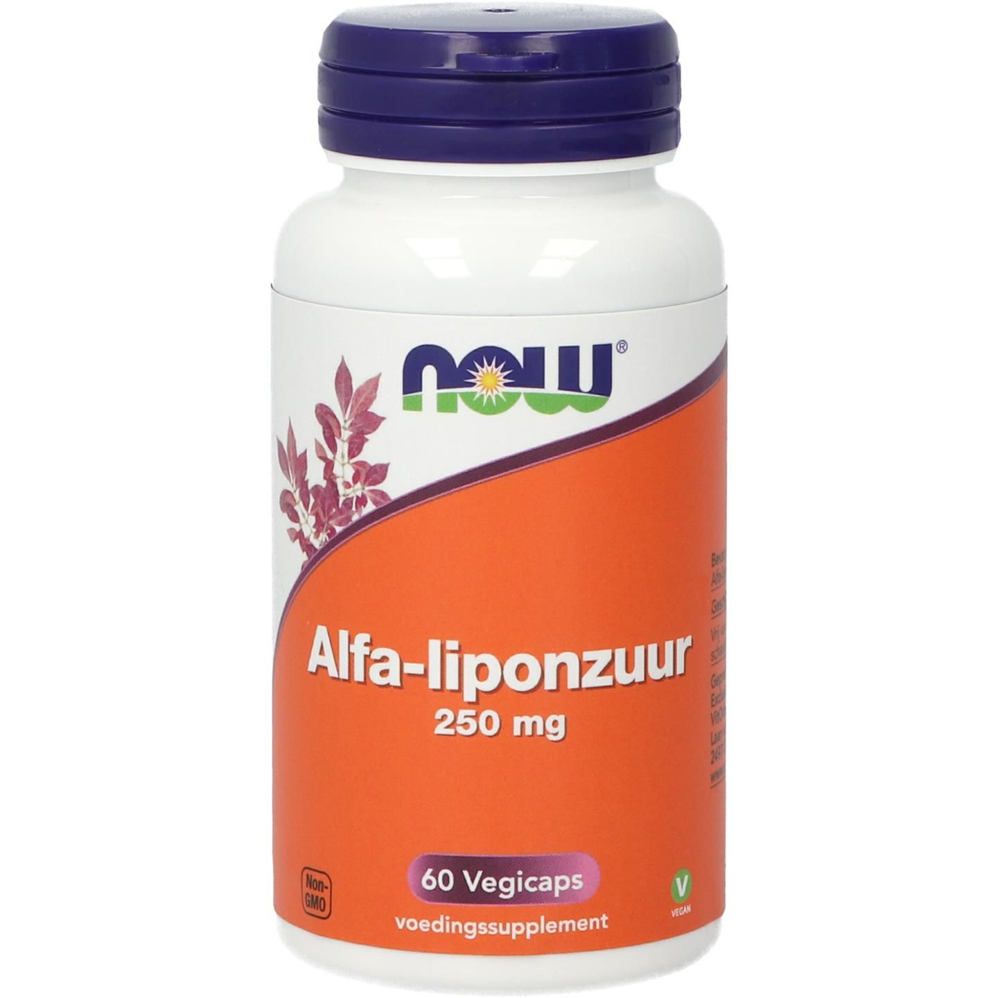 Now Alfa-Liponzuur 250Mg