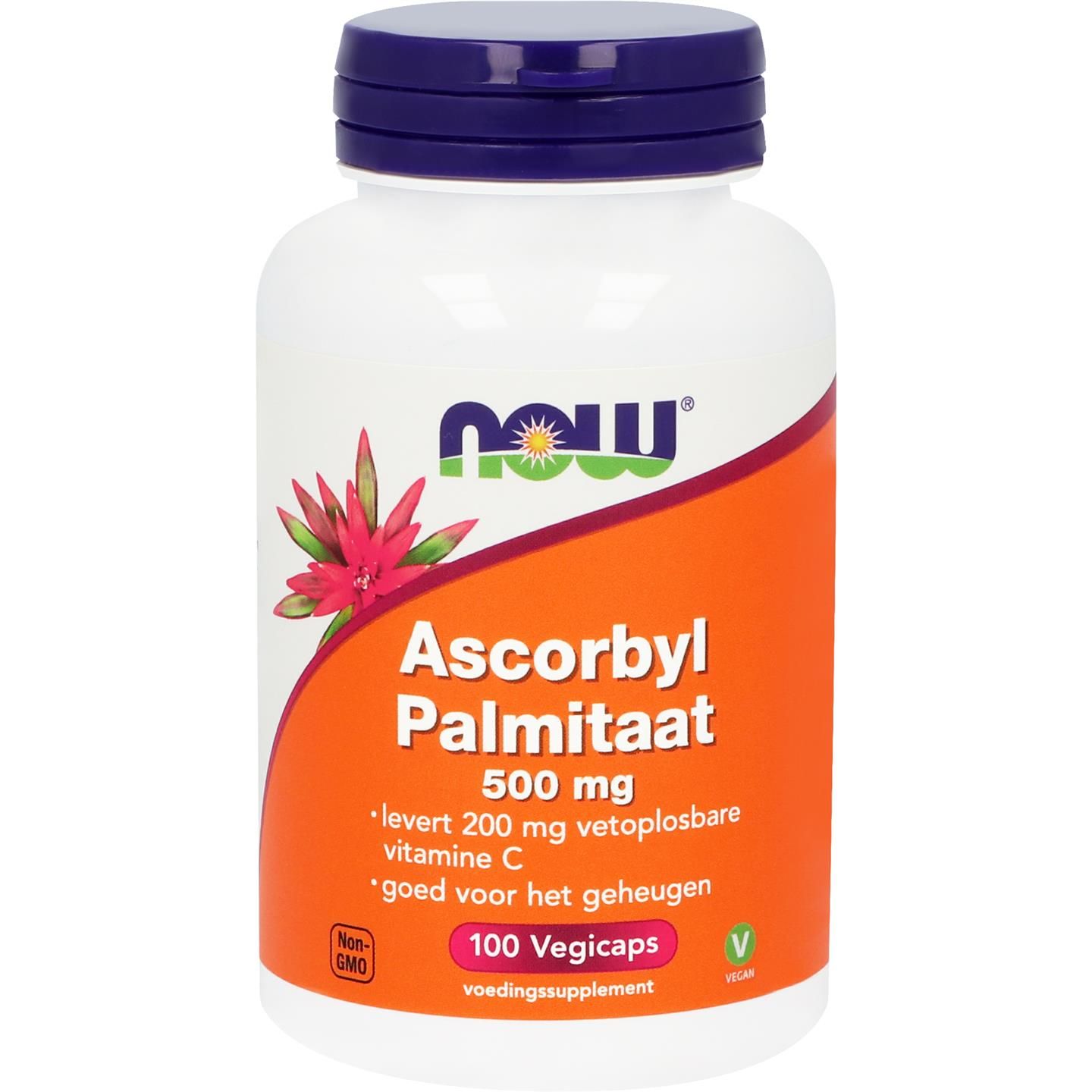 Now Ascorbyl Palmitaat 500Mg