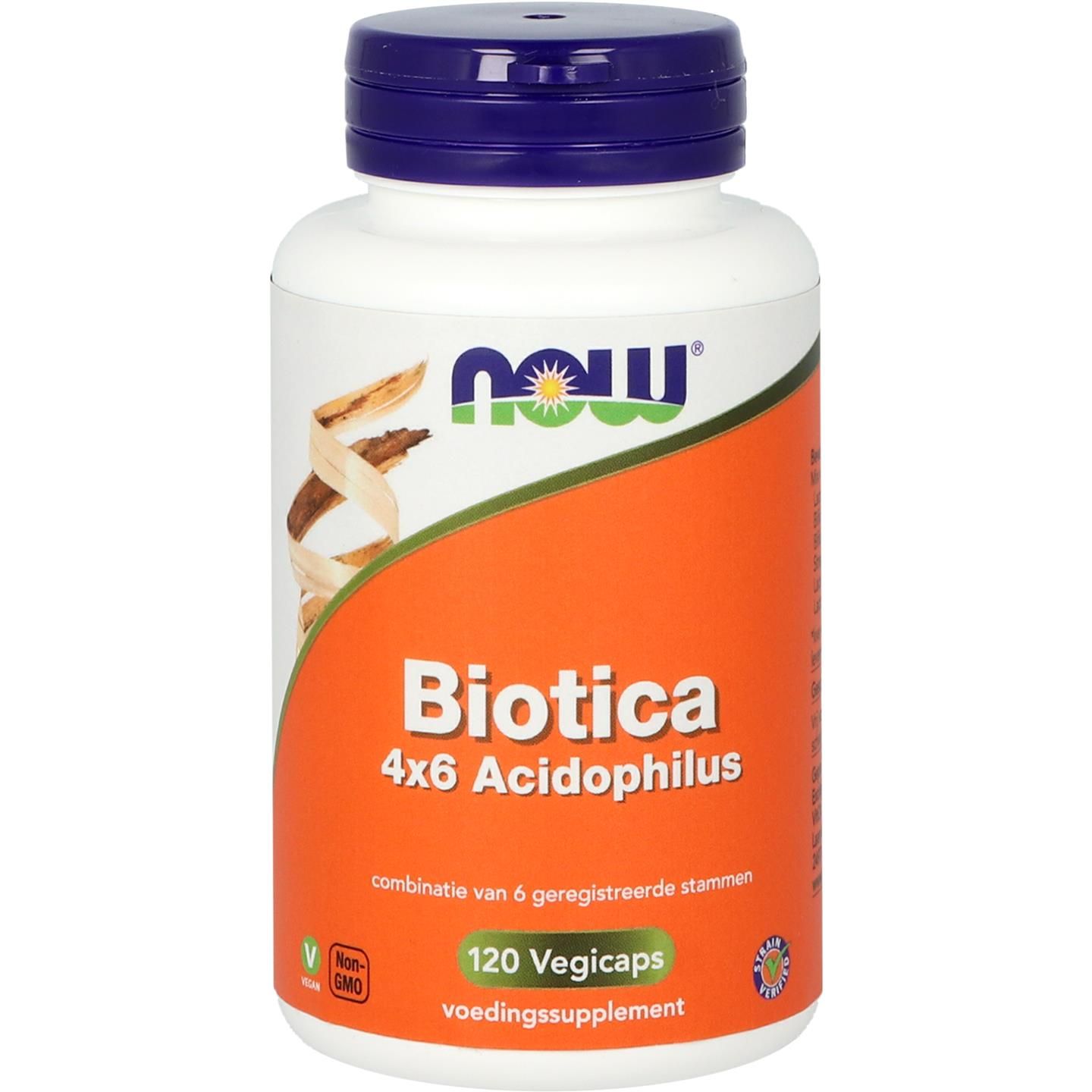Now Biotica 4 X 6 Acidophilus