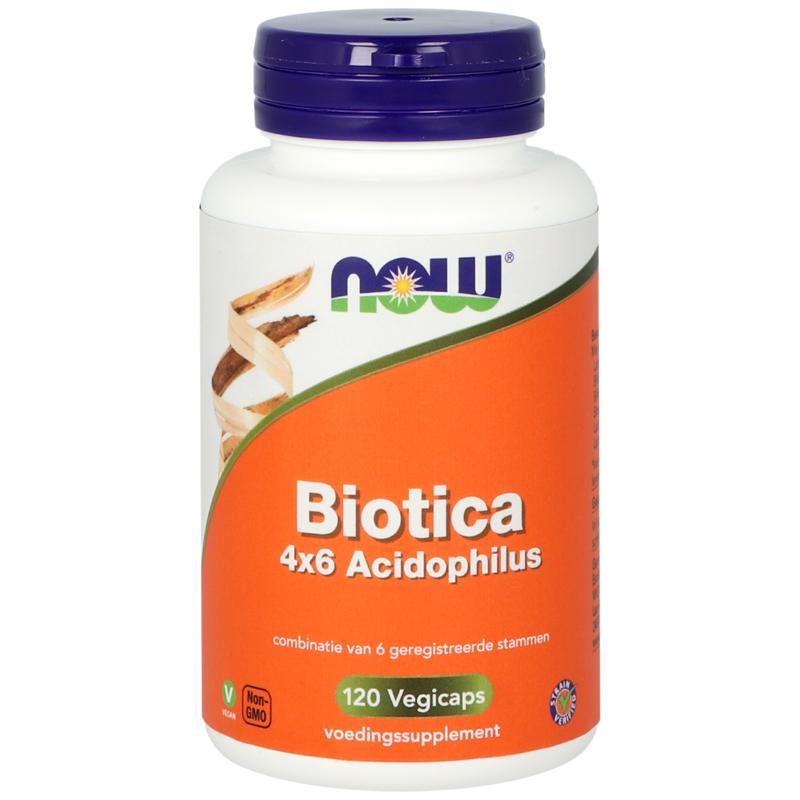 Now Biotica 4 X 6 Acidophilus