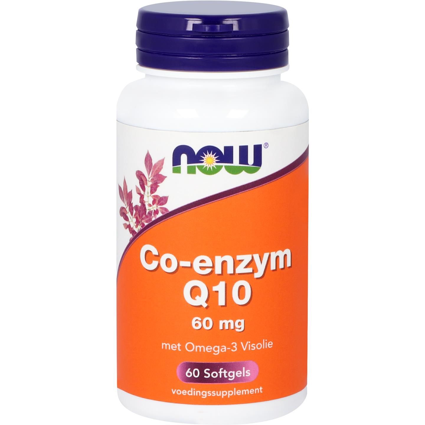 Now Co-Enzym Q10 60 G Met Omega-3 Visolie