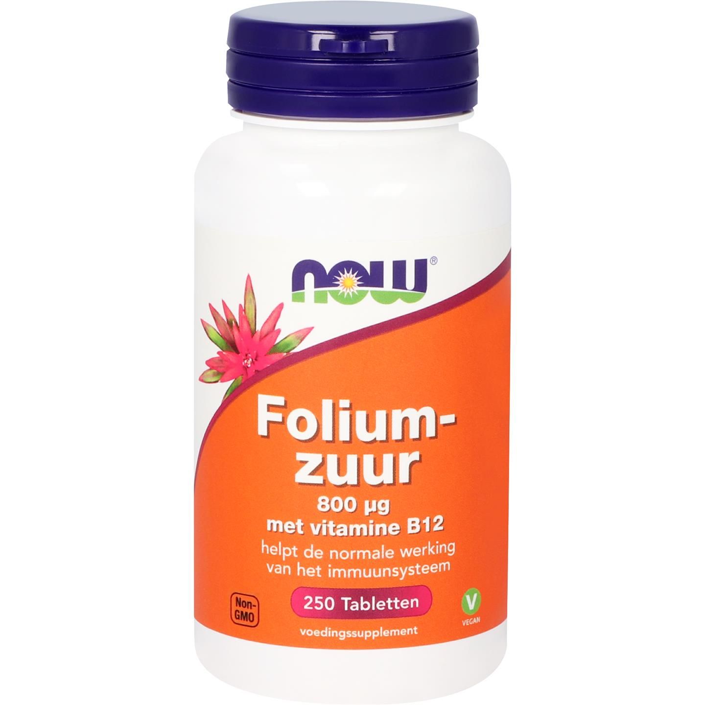 Now Foliumzuur 800Mcg